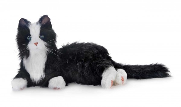 Gatto robot