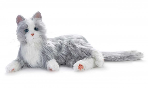 Gatto robot